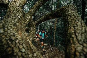 BIB: 
                            <button type="button" onclick="openModal(25703862)" class="btn btn-primary btn-sm float-right btn-popup" data-toggle="modal" data-target=".modal-high-quality">
                        <i class="fas fa-shopping-cart"></i> Add to Cart
                    </button>
                                            <button type="button" onclick="isThisMe(25703862, true)" class="btn btn-success btn-sm float-right btn-popup btn-isme hidden" data-toggle="tooltip" data-placement="bottom" title="นี่คือรูปของคุณใช่ไหม คลิกที่นี่เพื่อเอาเข้าอัลบั้ม">
                        <i class="fas fa-plus"></i> Add to album
                    </button>
                    <button type="button" onclick="isThisMe(25703862, false)" class="btn btn-warning btn-sm float-right btn-popup btn-isnotme hidden">
                        <i class="fas fa-ban"></i> Remove from album
                    </button>